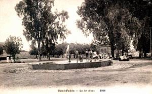 Oued-Fodda - Le Jet d'eau - 1938